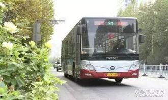 滄州公交車爆料最新消息,揭秘線路調整與票價變動詳情